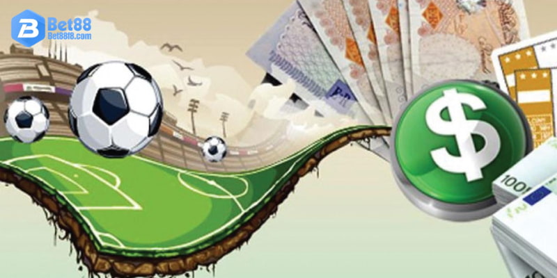 Hiểu rõ thông tin các đội bằng cách thống kê