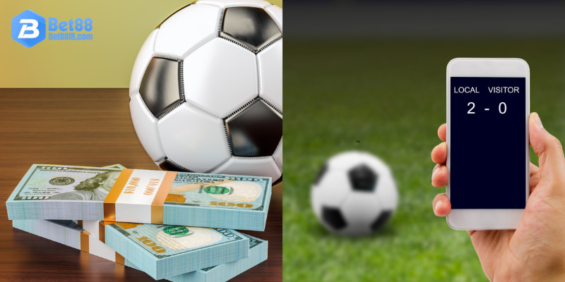 Tổng quan một số nét về cá cược bóng đá euro