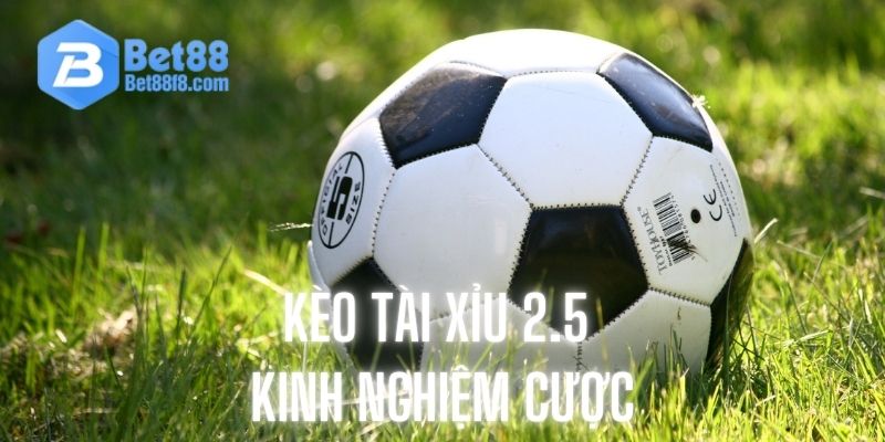 Những kinh nghiệm cược quý báu từ chuyên gia lâu năm