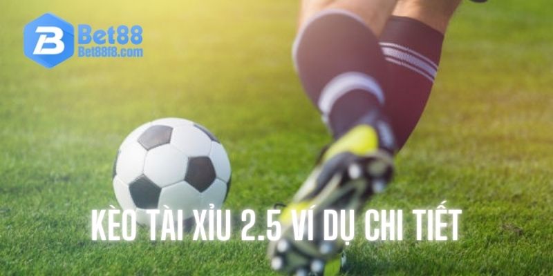 Ví dụ cụ thể về trận đấu có tài xỉu 2.5 cho tân thủ