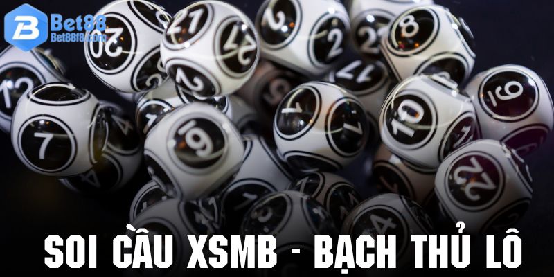 Tham khảo soi cầu xổ số miền bắc với chiến thuật bạch thủ lô